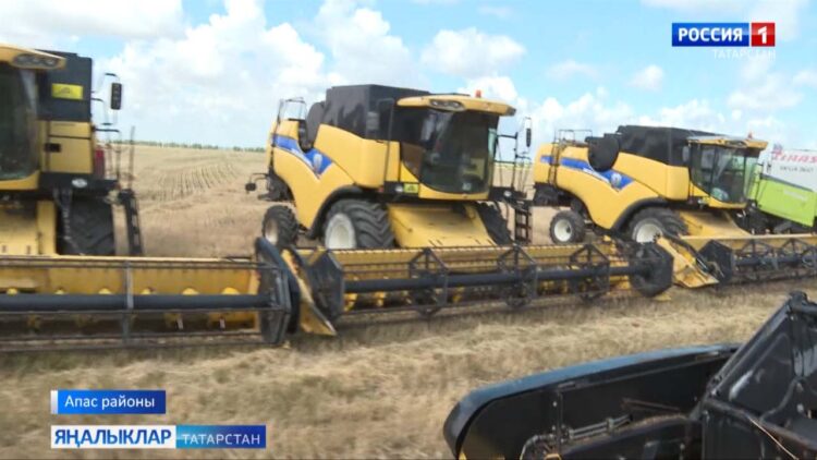 Сүрелми торган көрәш