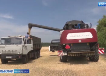 Ике атна алдан уракка төшкән игенчеләрнең кәефләре ничек?