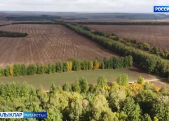 Экология – һәркемнең эше