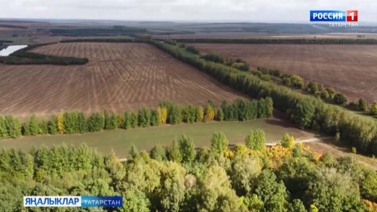 Экология – һәркемнең эше