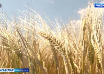 Урак көткәндә