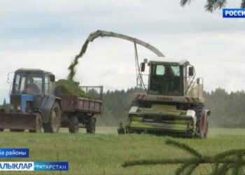 Көнне төнгә ялгар чак