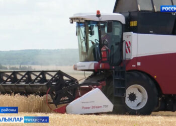 Зәй басу-кырларында урып-җыю эшләре тулы көченә бара