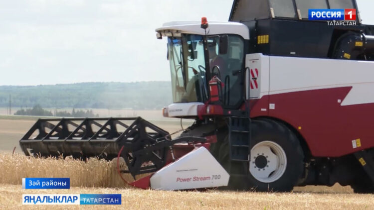 Зәй басу-кырларында урып-җыю эшләре тулы көченә бара