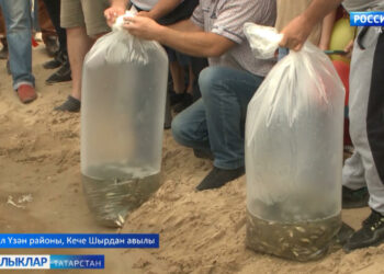 Шырдан авылы нигә шатланды?