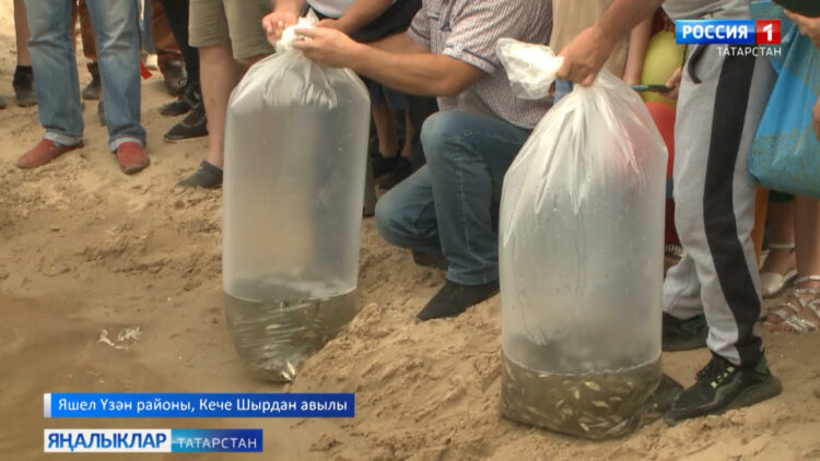 Шырдан авылы нигә шатланды?