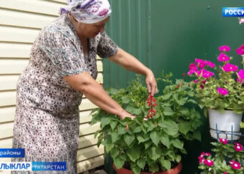 Чәчәк яратмаган хатын-кыз сирәктер