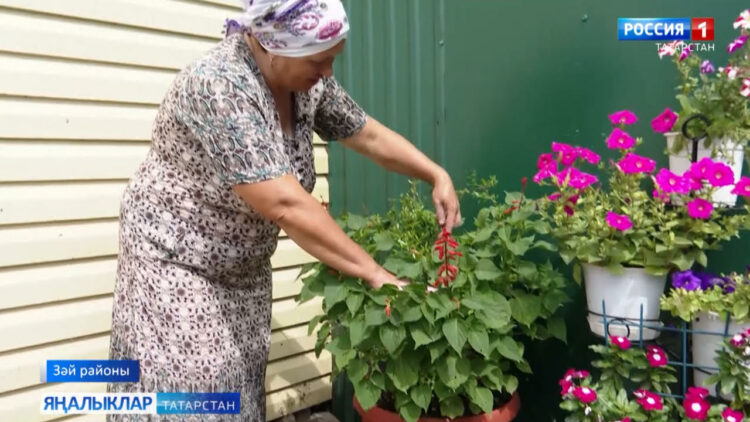 Чәчәк яратмаган хатын-кыз сирәктер