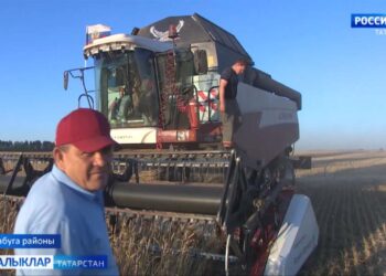 Эшкә бирсәң чын күңел…