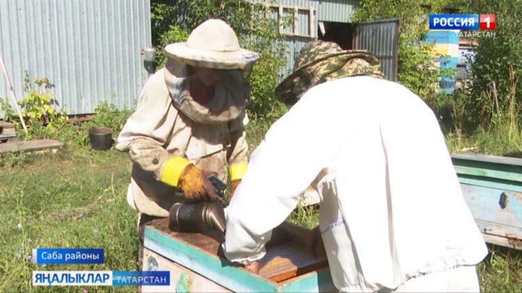 Нәселдән килгән hөнәр