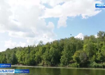 Зәй суында баклан бар