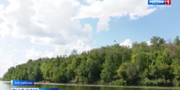 Зәй суында баклан бар