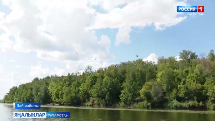 Зәй суында баклан бар