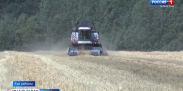 Район кырларында уракның иң кызган чагы