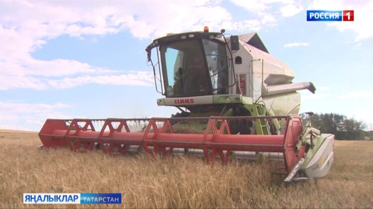 Хезмәт кешесен данлыйбыз