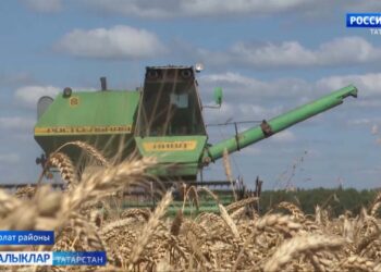 Ни чәчсәң, шуны урырсың