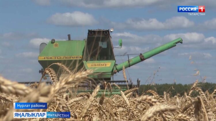 Ни чәчсәң, шуны урырсың