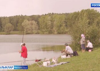 Күл буена килсәң иде…