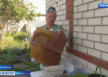 Апаста яшәүче Рәмзия ханымның ишегаллары ял почмагын хәтерләтә