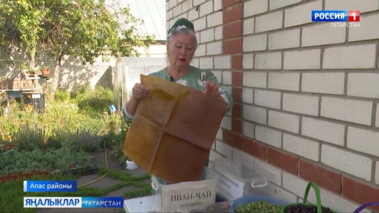 Апаста яшәүче Рәмзия ханымның ишегаллары ял почмагын хәтерләтә