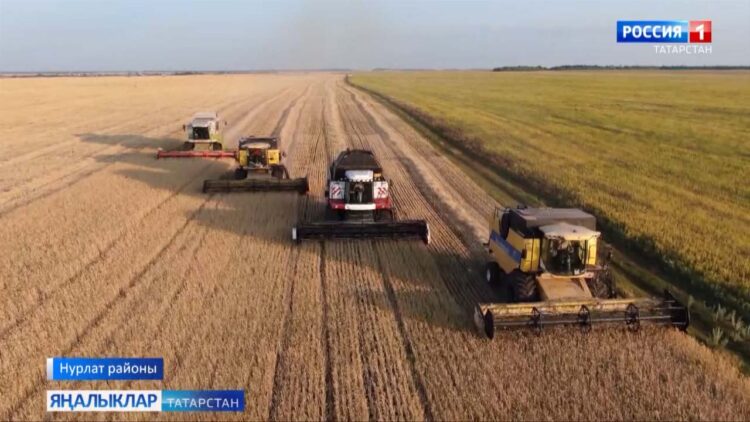 Хезмәт кешесен данлыйбыз