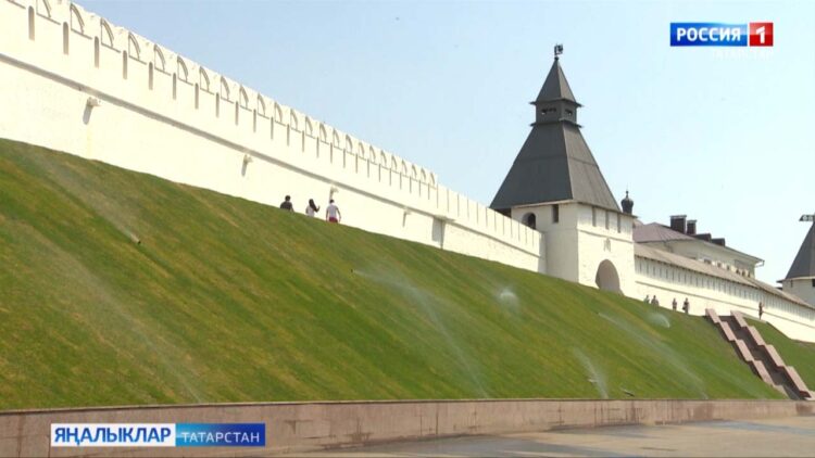 Эссе һава торышы үсемлекләргә, агачларга да йогынты ясый