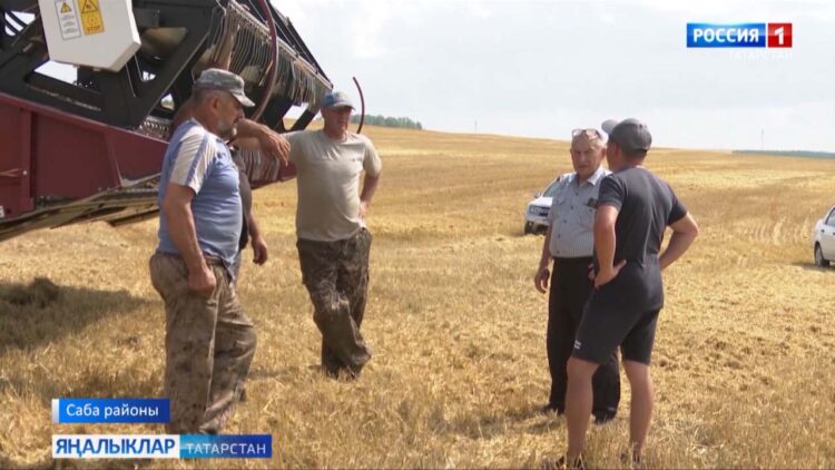 Иртә чәчсәң, уңарсың!