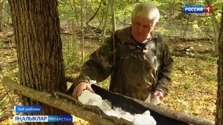 Ул һәр сукмакны белә