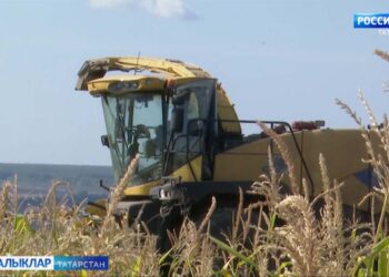 Кышка әзерлек