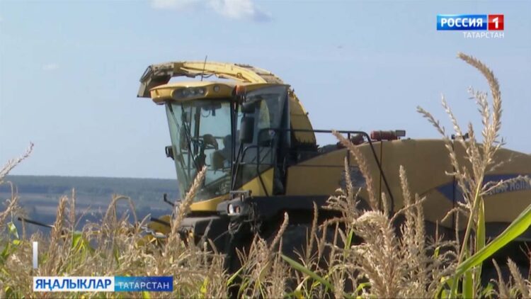 Кышка әзерлек