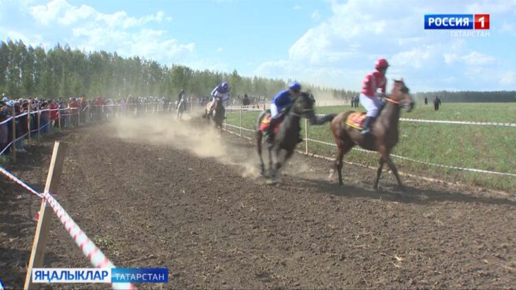 Арча районында “Ат көне” узды