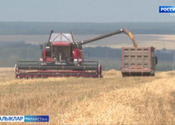 Авыр елның мул уңышы