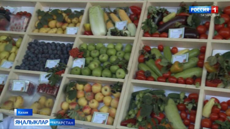 «Бакча көне” дип исемләнгән күргәзмә-фестиваль узды