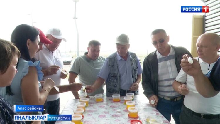 Апасның иң оста умартачылары