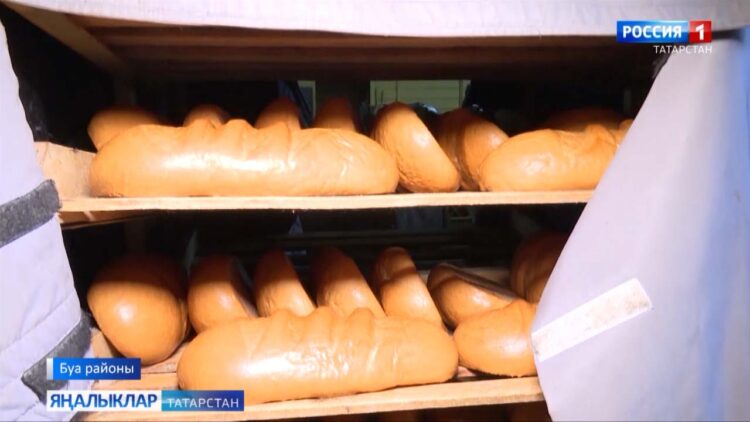 Яңа уңыш икмәге