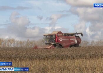 Көзге муллыкны — амбарларга