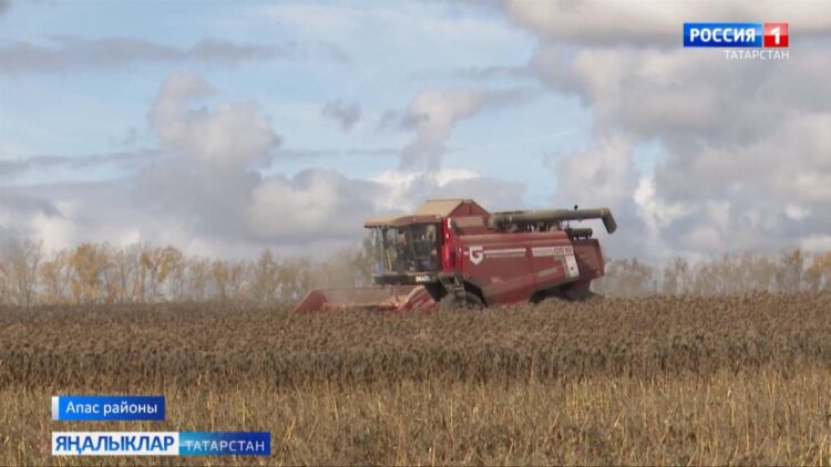 Көзге муллыкны — амбарларга