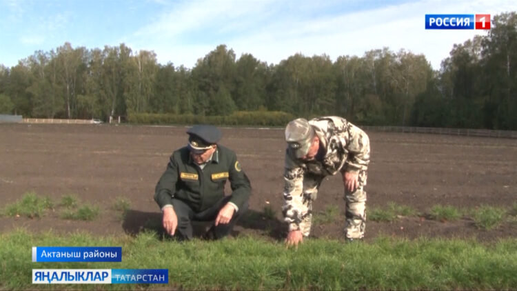 Урманнарга керсәм…