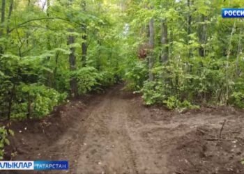 Татарстанда “Урманны саклыйк” бөтенроссия акциясе оештырыла