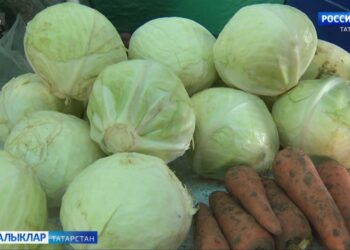 Татарстанда авыл хуҗалыгы ярминкәләре эшли башлый