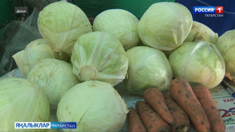 Татарстанда авыл хуҗалыгы ярминкәләре эшли башлый