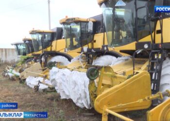 Урак белән урак арасы