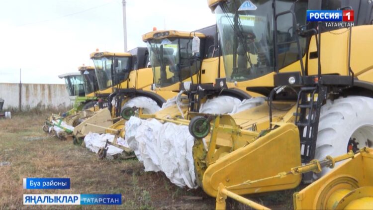 Урак белән урак арасы