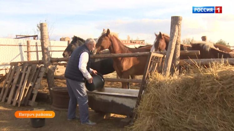 Атлар — үзе бер дөнья!