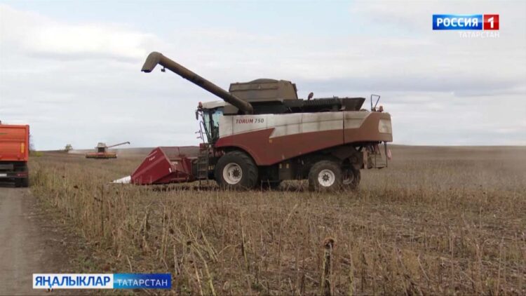 8 октябрда авыл хуҗалыгы һәм эшкәртү сәнәгате хезмәткәрләре көне