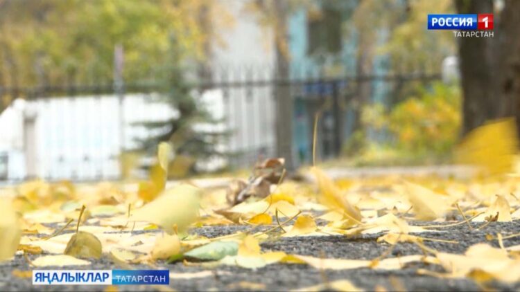 Кичә булып узган көчле шторм республика халкына уңайсызлыклар тудырды