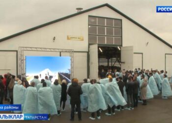 Татарстан терлекләрне тамгалау һәм исәпкә алу өлкәсендә тәҗрибә алмашу мәйданчыгына әйләнде