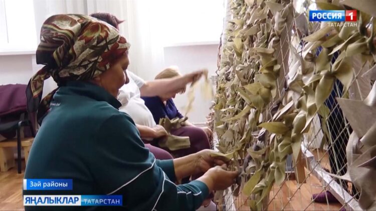 Махсус хәрби операция игълан ителгән көннән алып зәйлеләр зур тырышлык күрсәтә