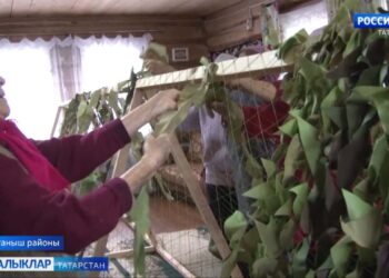 Махсус хәрби операциядә катнашучыларга төрле яклап ярдәм оештырыла