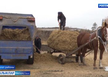Ун ел элек башланган эш